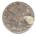 U.S. silver 3 cent 1854, front