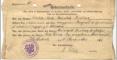 Liselotte Meta Mathilda Anthes Birth Certificate 1916