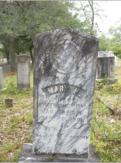 Mary Henry Randolph 1826-1901, wife of Robert  McCreight, courtesy of Janice McCreight